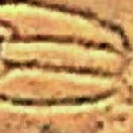 THE SAHARA GEOGLYPH Symbol SK 14754