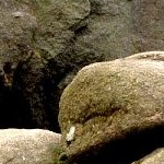 Duwelsteene dolmen Charly G
