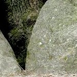Duwelsteene dolmen Charly G 2