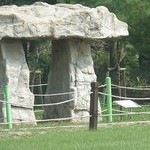 Ganghwa Dolmen Sites 2