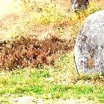 Glaner Braut dolmen. Photo by Der Cohnen