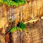 Sigiriya Rock. Photo by Mohamed Ramzeen