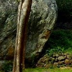 Sigiriya Rock. Photo by Nikoly Maksimovich 2