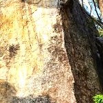 Sigiriya Rock. Photo by Vladas Portapas